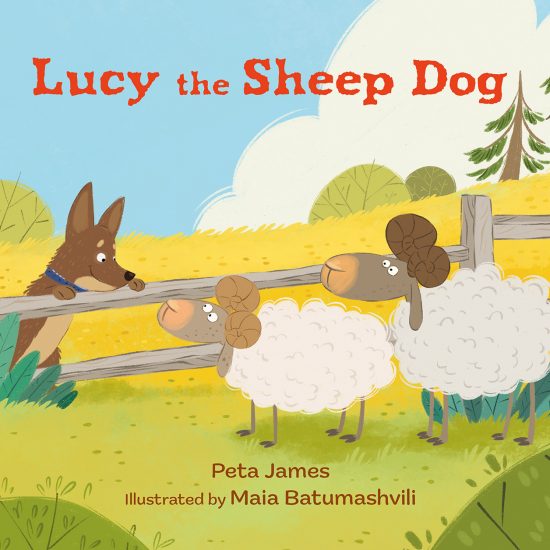 Lucy the Sheep Dog